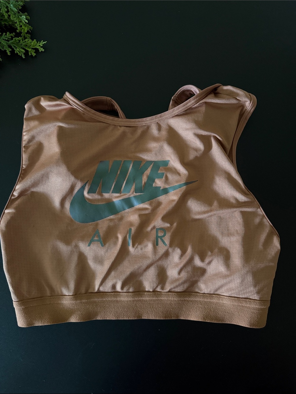 Nike Bronze Sports Bra with Teal Logo
